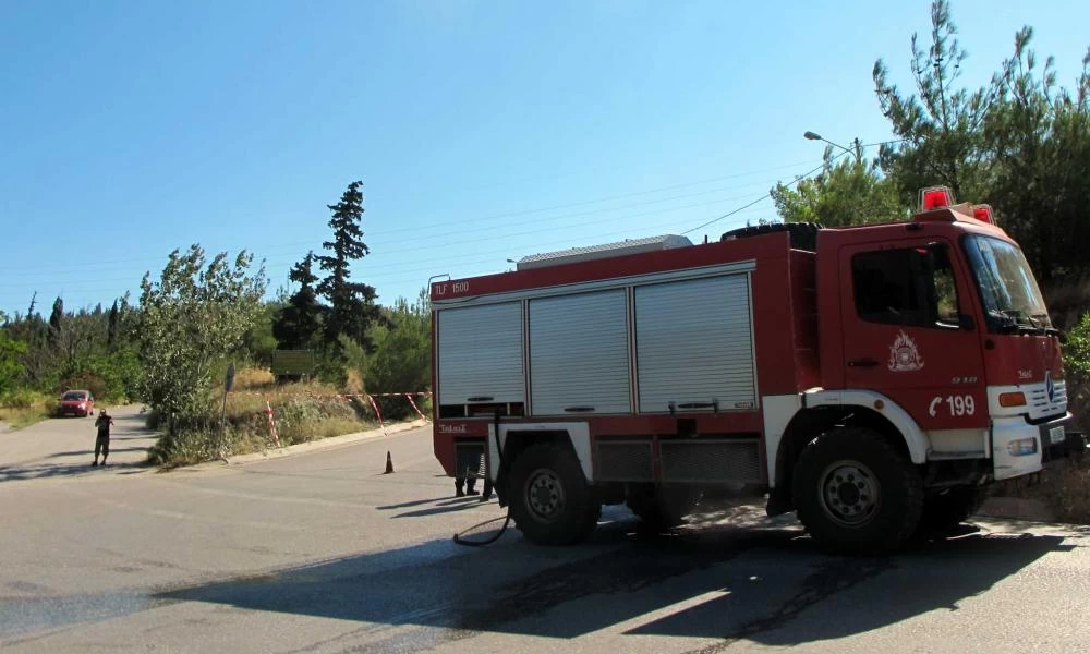 Έβρος: Απαγόρευση κυκλοφορίας αύριο σε δάση της περιοχής λόγω κινδύνου πυρκαγιάς